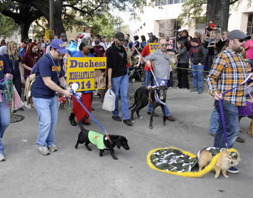 2015 Krewe of Mutts parade theme Marvelous Mutts Picture
